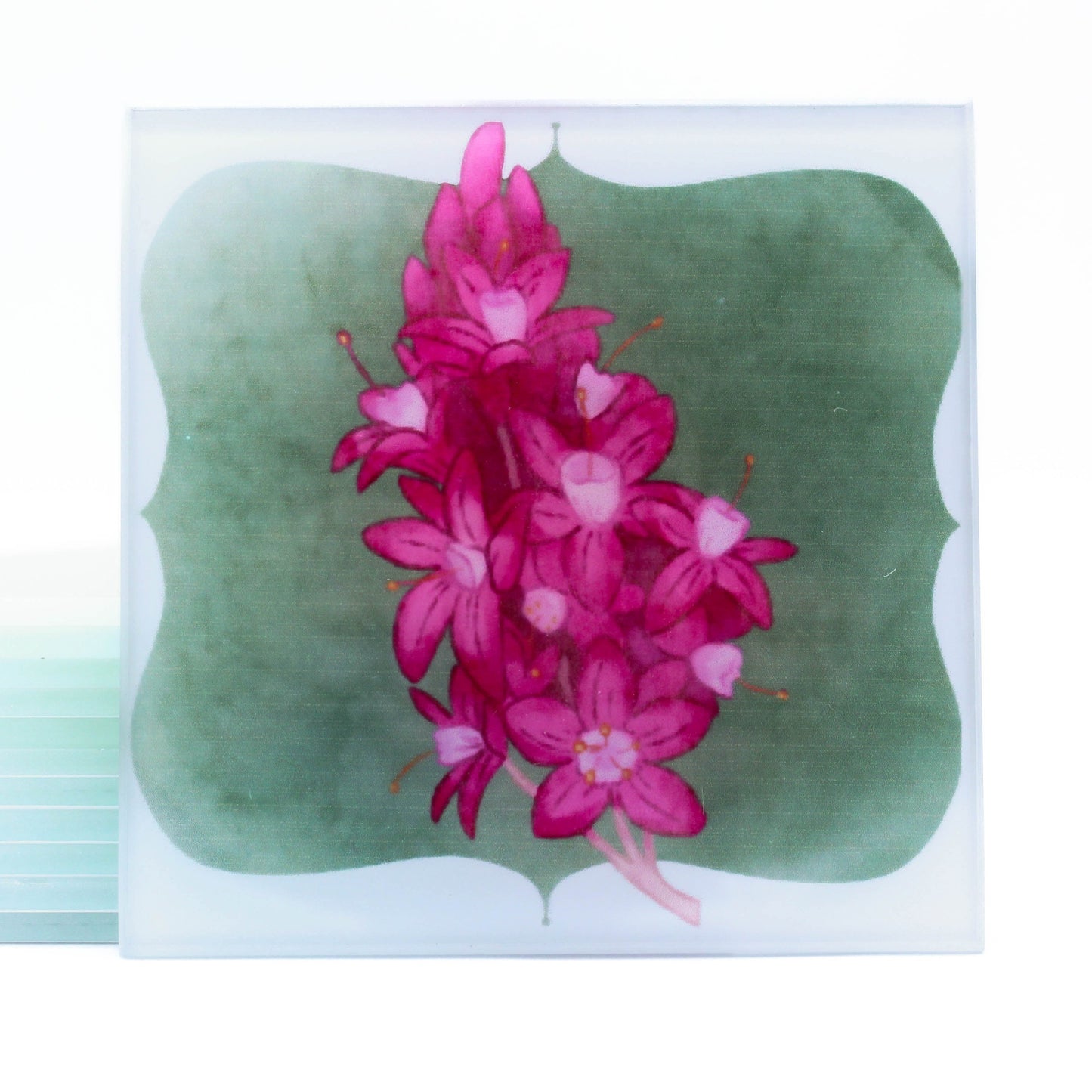 Ventura Native Flower Magnets