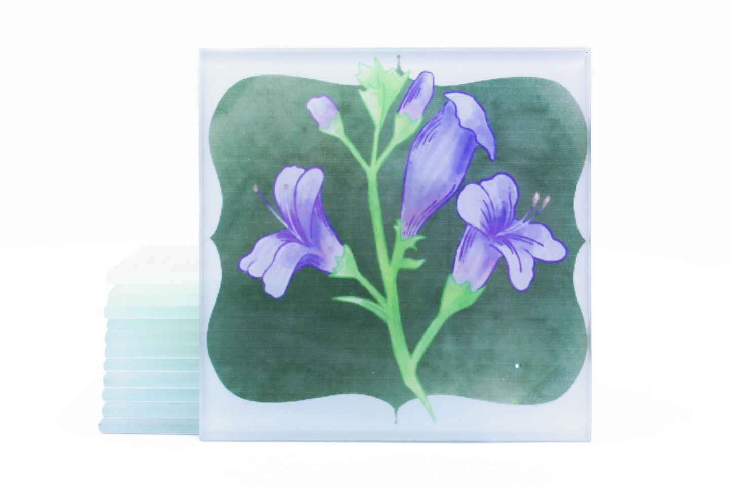 Ventura Native Flower Magnets