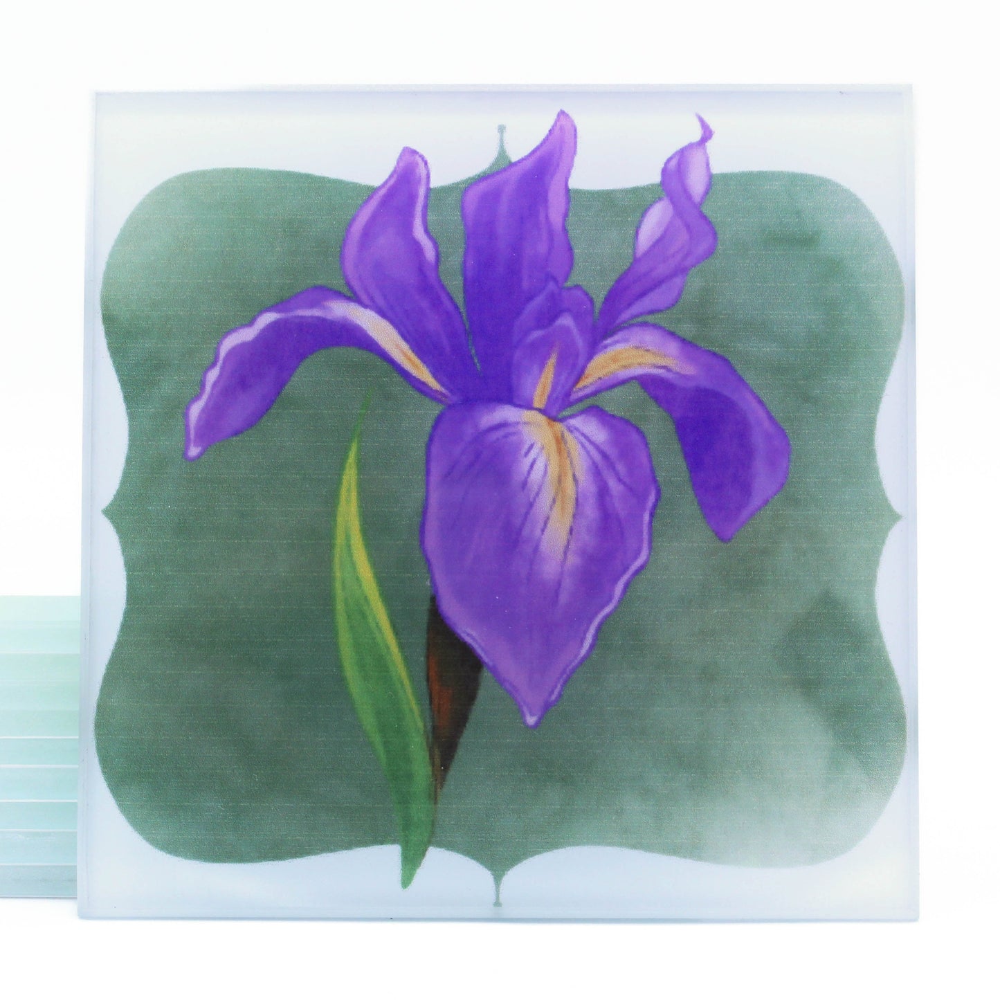 Ventura Native Flower Glass Coaster- Set of 4
