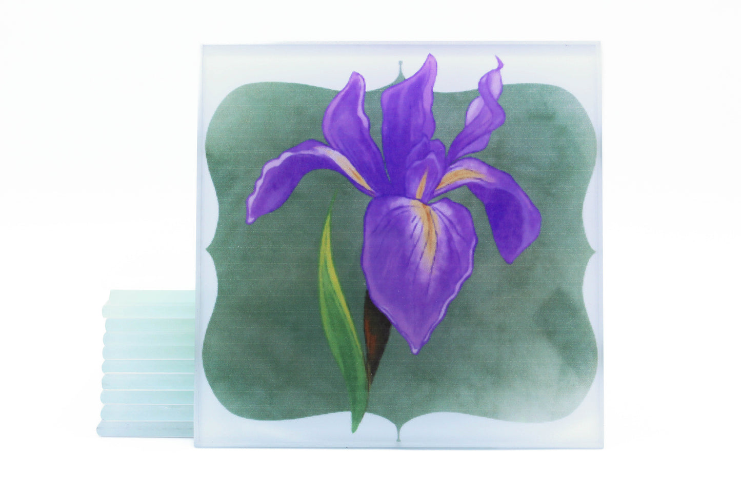 Ventura Native Flower Magnets